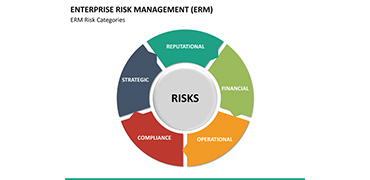 RISK ASSESSMENT MANAGEMENT CONSULTING